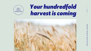 Read more about the article Your Hundredfold Harvest Is Coming