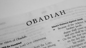 Read more about the article We Need Obadiah