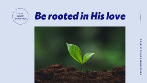 Read more about the article Be Rooted in His Love