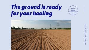 Read more about the article The Ground Is Ready for Your Healing