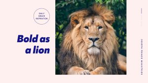 Read more about the article Bold As a Lion