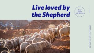 Read more about the article Live Loved by the Shepherd