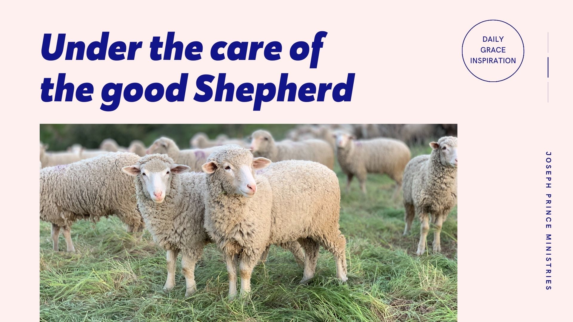 You are currently viewing Under the Care of the Good Shepherd