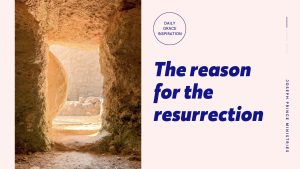 Read more about the article The Reason for the Resurrection