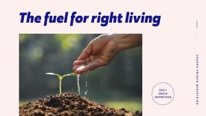 Read more about the article The Fuel for Right Living