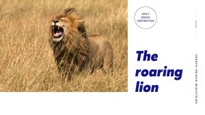 Read more about the article The Roaring Lion