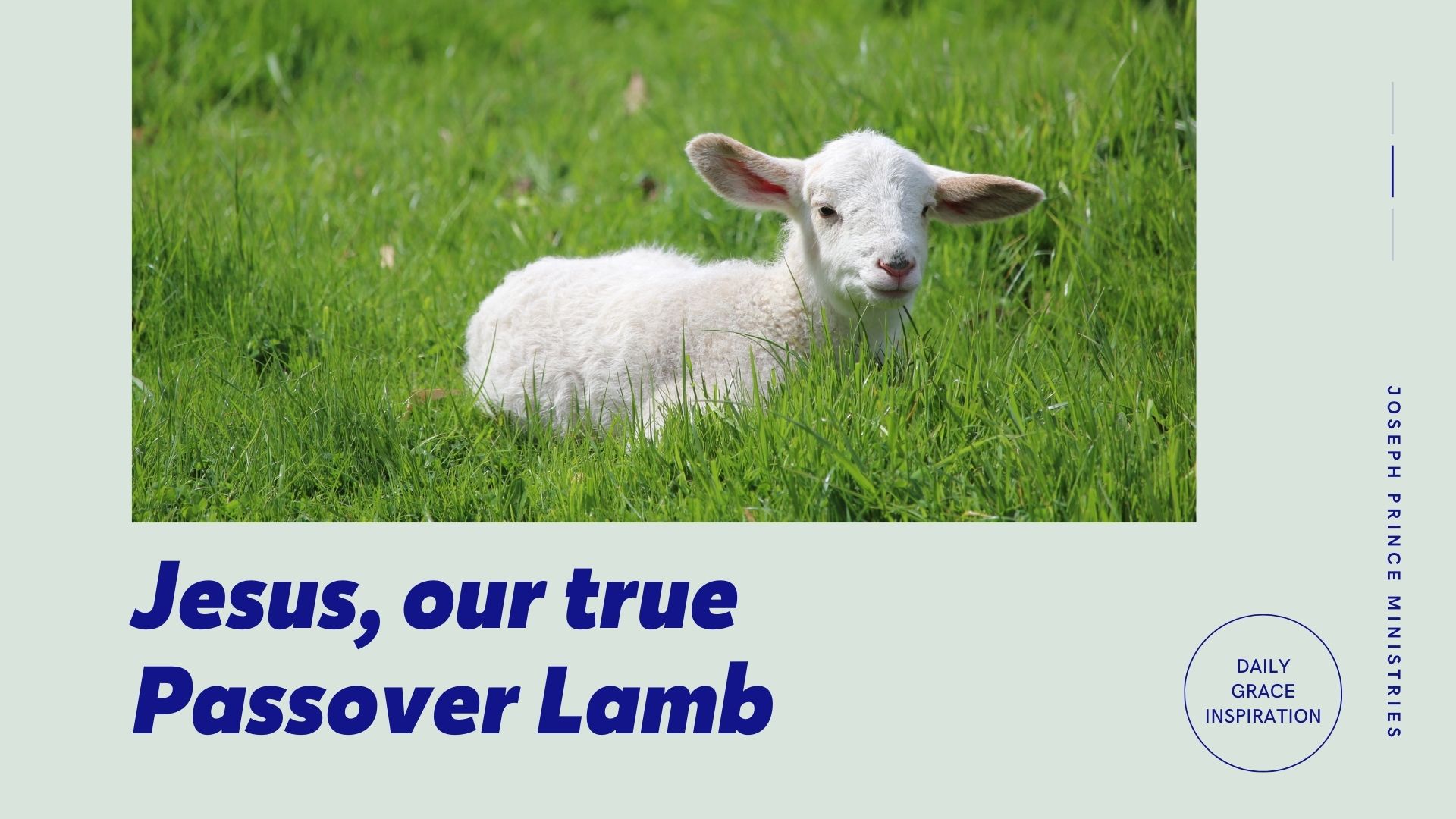 You are currently viewing Jesus, Our True Passover Lamb