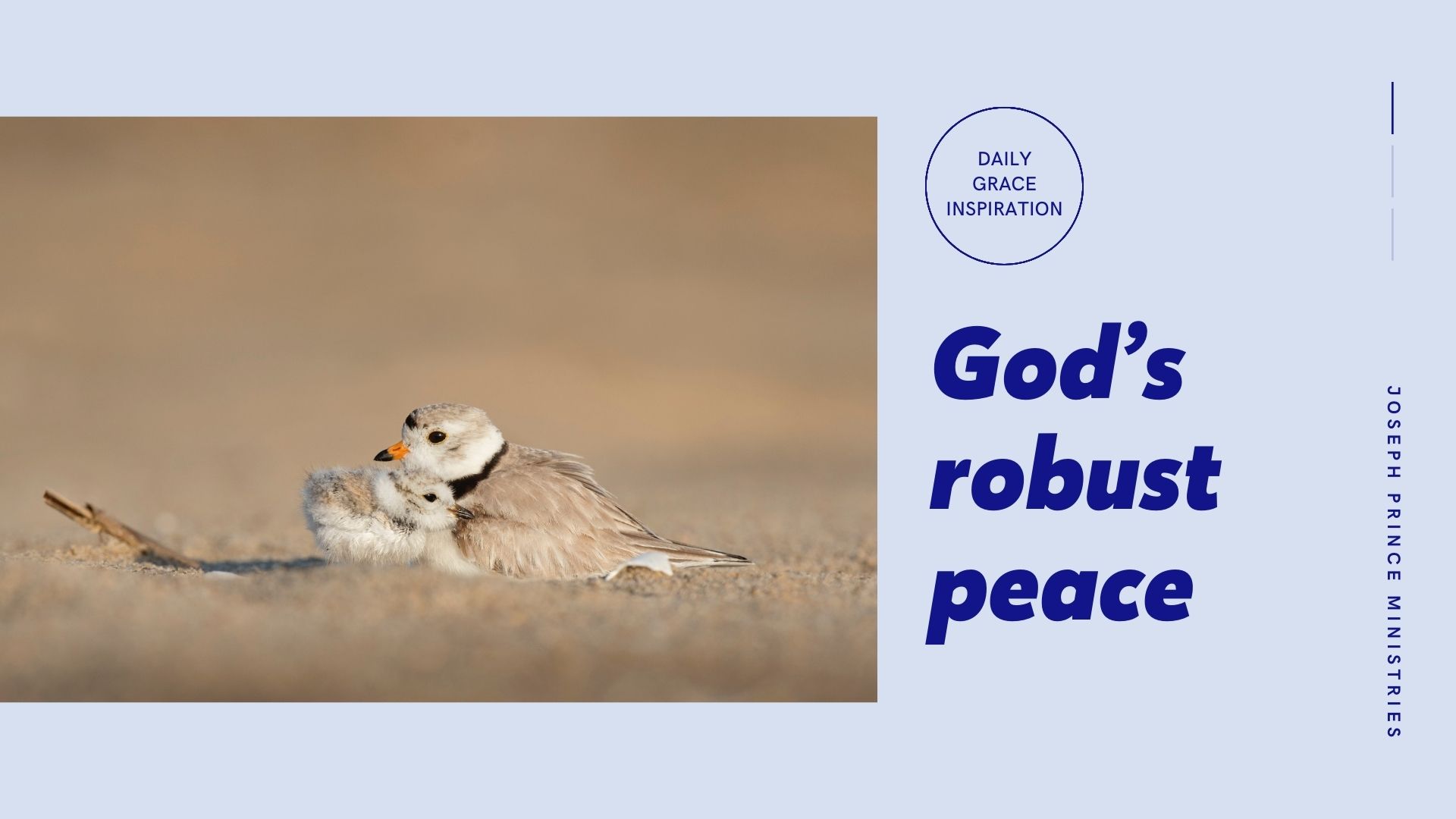 Read more about the article God’s Robust Peace