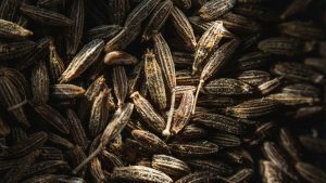 Read more about the article Are You Caraway or Cumin?
