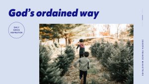 Read more about the article God’s Ordained Way