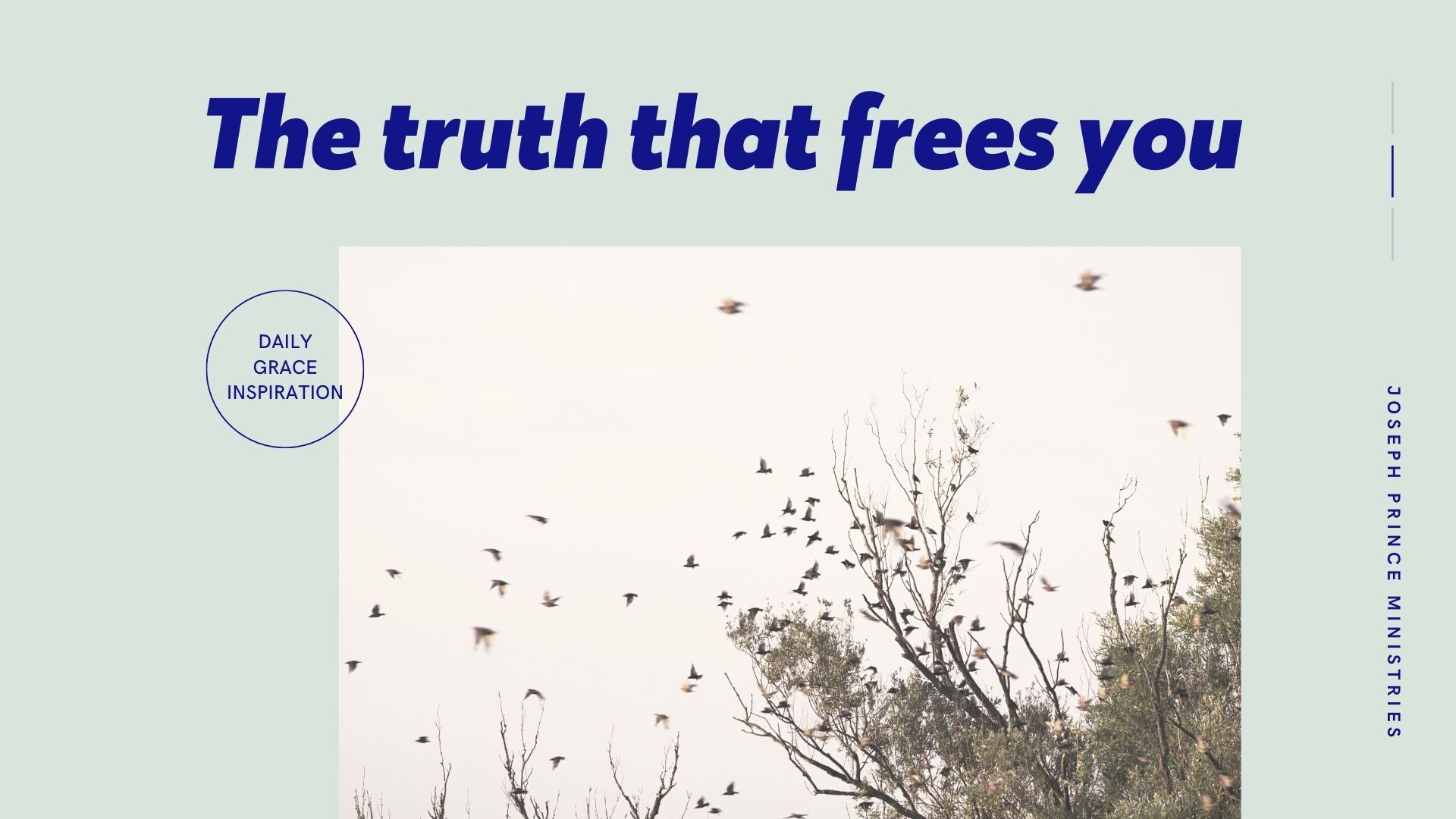 You are currently viewing The Truth That Frees You