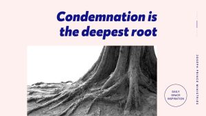 Read more about the article Condemnation Is the Deepest Root