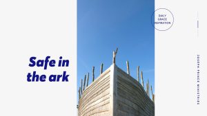 Read more about the article Safe in the Ark