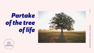 Read more about the article Partake of the Tree of Life