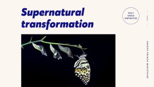 Read more about the article Supernatural Transformation