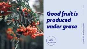 Read more about the article Good Fruit Is Produced Under Grace