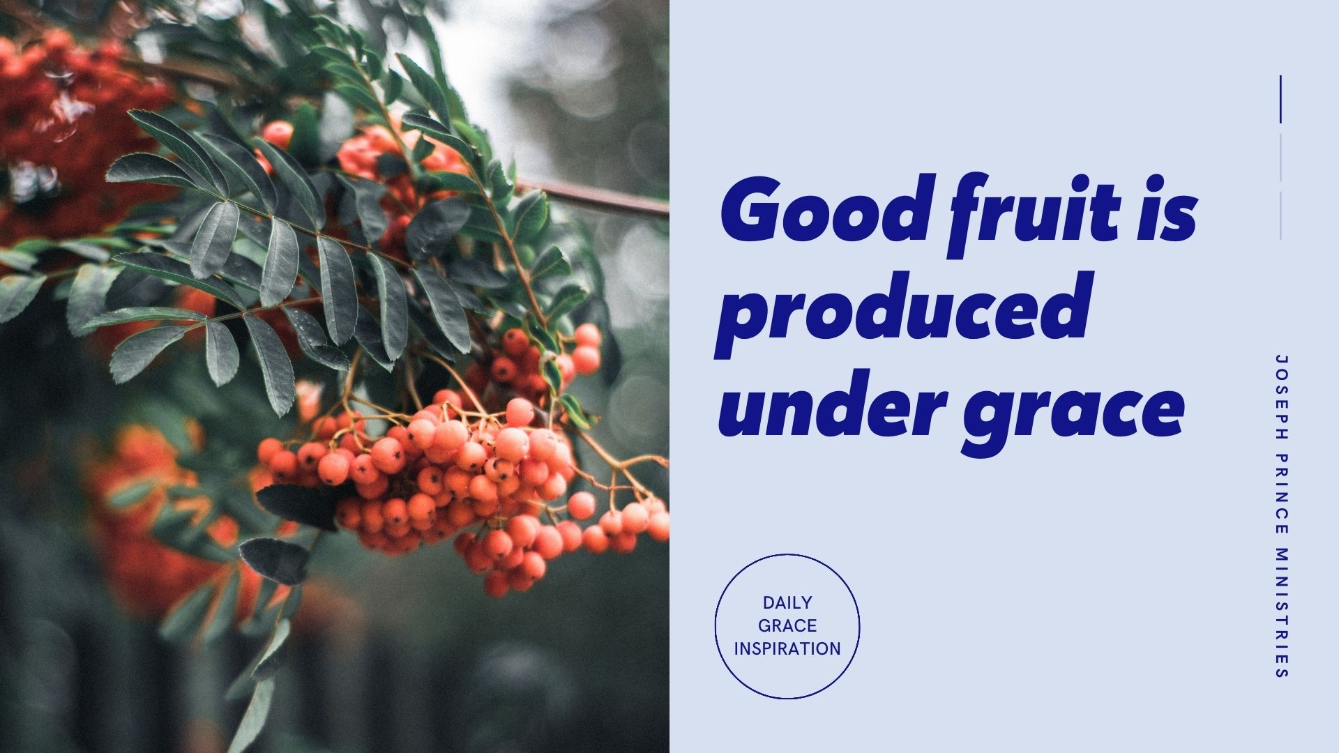 You are currently viewing Good Fruit Is Produced Under Grace