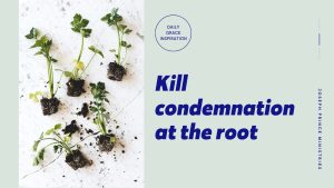 Read more about the article Kill Condemnation at the Root