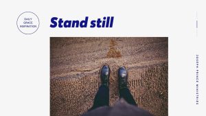 Read more about the article Stand Still